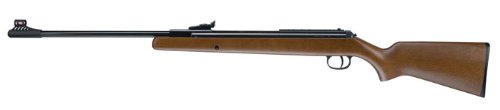 Best Air Rifle Under $300 - Diana RWS 34 w/T06 Trigger