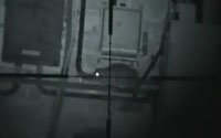 Air Rifle Rat Shooting With Night Vision
